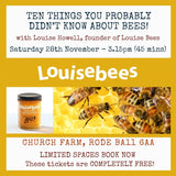 Saturday 28th November 3.15pm - Louise Bees Talk FREE