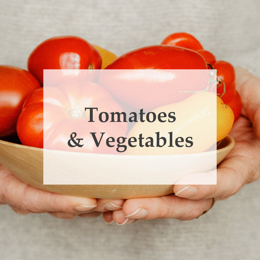 Tomatoes & Vegetables