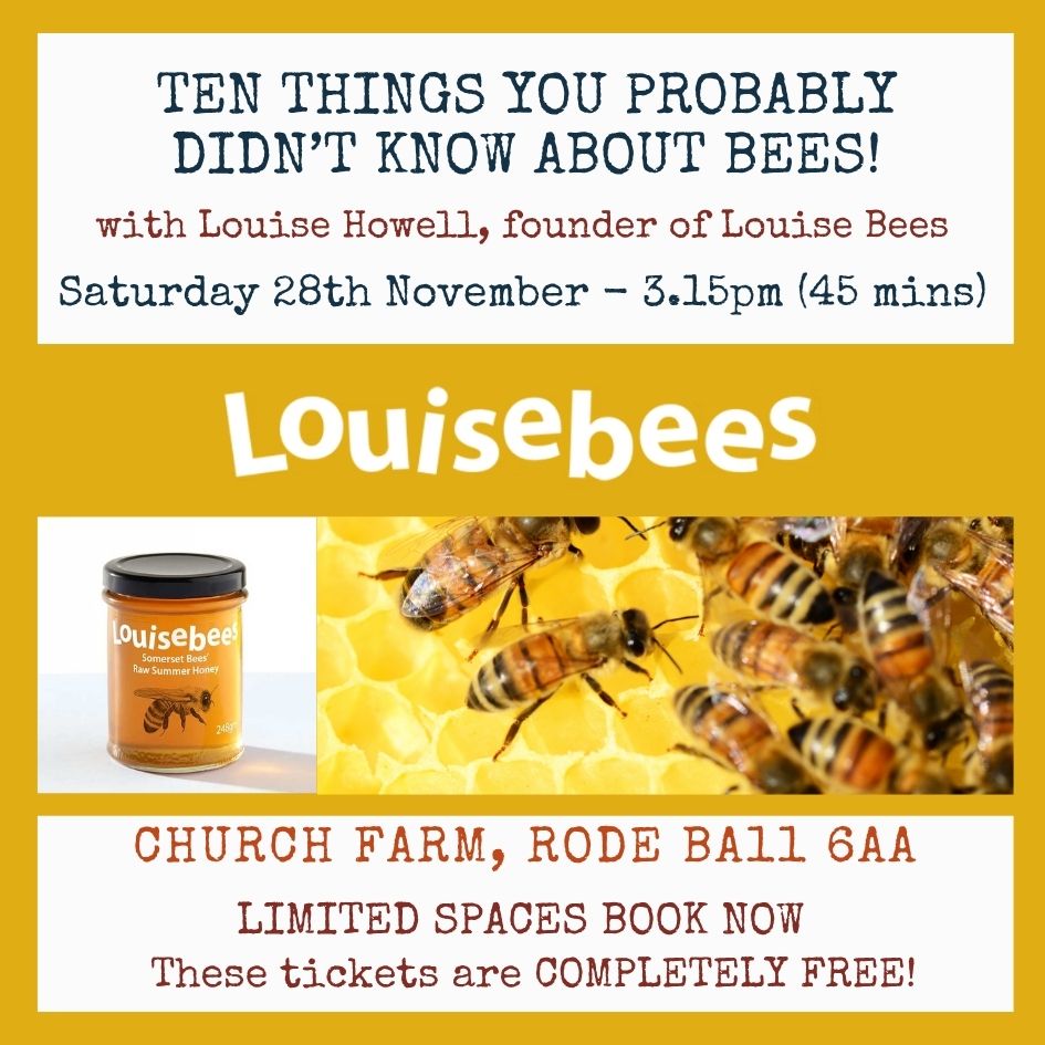 Saturday 28th November 3.15pm - Louise Bees Talk FREE